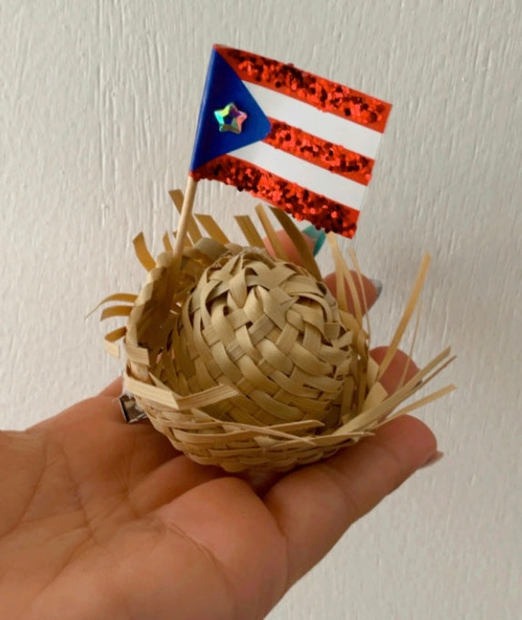 Mini pava PR